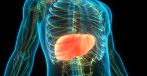 Gordura no fígado grau 3: saiba o que é, sintomas e tratamento