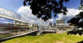 Foto: (Divulgação/Visit Colchester)