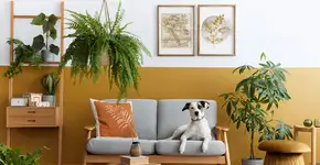 Foto: (Imagem sem texto alternativo disponivel ID [2758428])