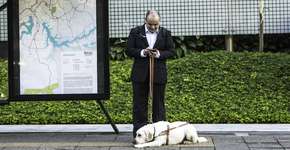 Ação transforma banners em áudio para deficientes visuais