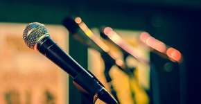 Foto: (Imagem de Rudy and Peter Skitterians por Pixabay)