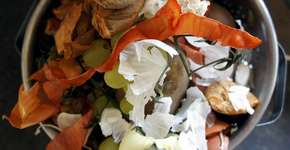 Shopping planta horta no teto utilizando sobras dos alimentos