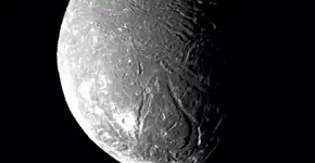 Foto: (Imagem sem texto alternativo disponivel ID [2411557])