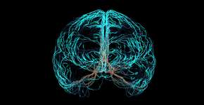 Foto: (MediaProduction/istock)