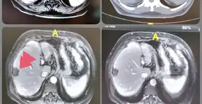 Foto: (reprodução/drkaloo/Twiiter)