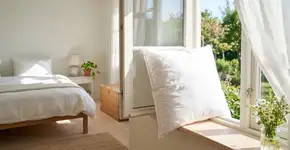 Foto: (Imagem sem texto alternativo disponivel ID [2776592])