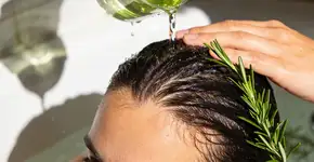 Foto: (Imagem sem texto alternativo disponivel ID [2719810])