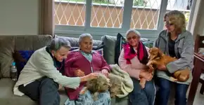 Cadelas idosas são adotadas por asilo para fazerem companhia aos velhinhos