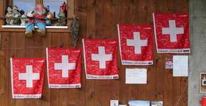 Foto: (Divulgação)