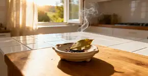Queimar folha de louro em casa pode trazer prosperidade e quase ninguém sabe disso