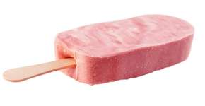 Golfinho foge de aquário, reencontra a família e tem bebê em liberdade