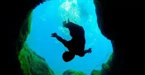 Foto: (Imagem sem texto alternativo disponivel ID [1894480])