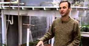 Foto: (Imagem sem texto alternativo disponivel ID [1869978])