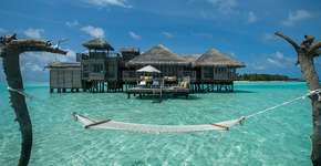 Foto: (Imagem sem texto alternativo disponivel ID [891461])