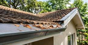 Foto: (Imagem sem texto alternativo disponivel ID [2776580])