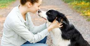 Quando os olhos se encontram: como humanos e cães sincronizam seus cérebros