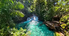 Foto: (Wirestock/iStock)