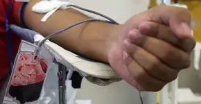 Pró-Sangue de SP tem estoques em nível crítico; veja como doar