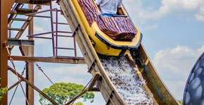 Foto: (Divulgação)