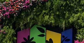 Mercadão das Flores é opção de passeio no aniversário de SP