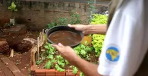 Agente é estuprada durante visita de combate à dengue no PR