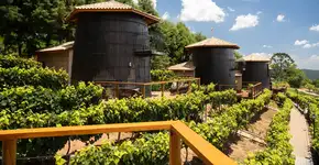 Foto: (Rui Antunes/Divulgação)