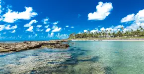 Foto: (Istock/filipefrazao)