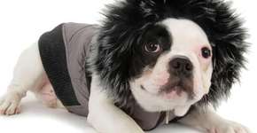 Foto: (Imagem sem texto alternativo disponivel ID [466806])