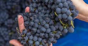 Foto: (Victor Carvalho/Turismo do Alentejo)