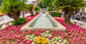 Foto: (venemama/iStock)