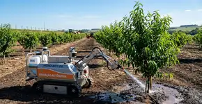 Diga adeus à rega às cegas: esse novo robô sabe quais árvores precisam de água e quais não precisam