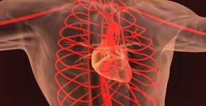 A doença cardíaca que surge sem dar sinais e afeta milhares no Brasil