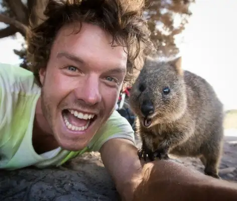 Fotógrafo tira selfies com animais