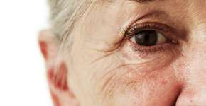 Foto: (Imagem sem texto alternativo disponivel ID [527371])