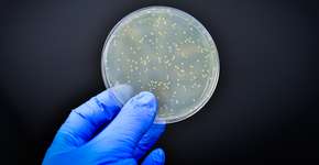 Foto: (Manjurul/istock)