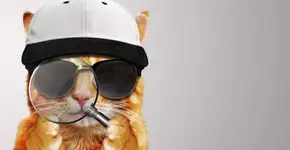 5 dicas para não ser enganado no Dia do Consumidor