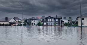 Foto: (Getty Images/iStockphoto)