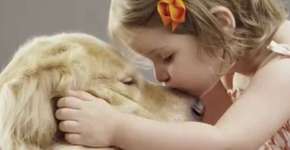 Empresa permite que clientes comprem ração e ajudem animais abandonados