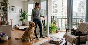 Animais de estimação em casa: o que você precisa saber se mora em apartamento