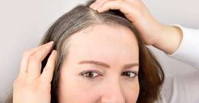 Foto: (Imagem sem texto alternativo disponivel ID [2587081])