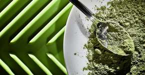 Foto: (lucentius/istock)