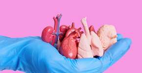 Foto: (Imagem sem texto alternativo disponivel ID [2613191])