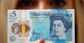 Foto: (Imagem sem texto alternativo disponivel ID [1172570])