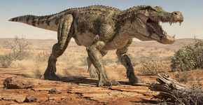 Foto: (Imagem sem texto alternativo disponivel ID [2733171])