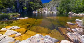 Foto: (Istock/MarcioDufranc)