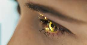 Foto: (Zorica Nastasic/istock)