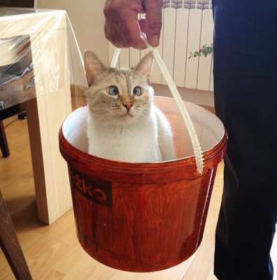 Reprodução / Instagram