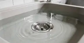 Foto: (Imagem sem texto alternativo disponivel ID [2676159])