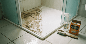 Foto: (Imagem sem texto alternativo disponivel ID [2741095])