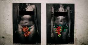 Foto: (Imagem sem texto alternativo disponivel ID [1078481])